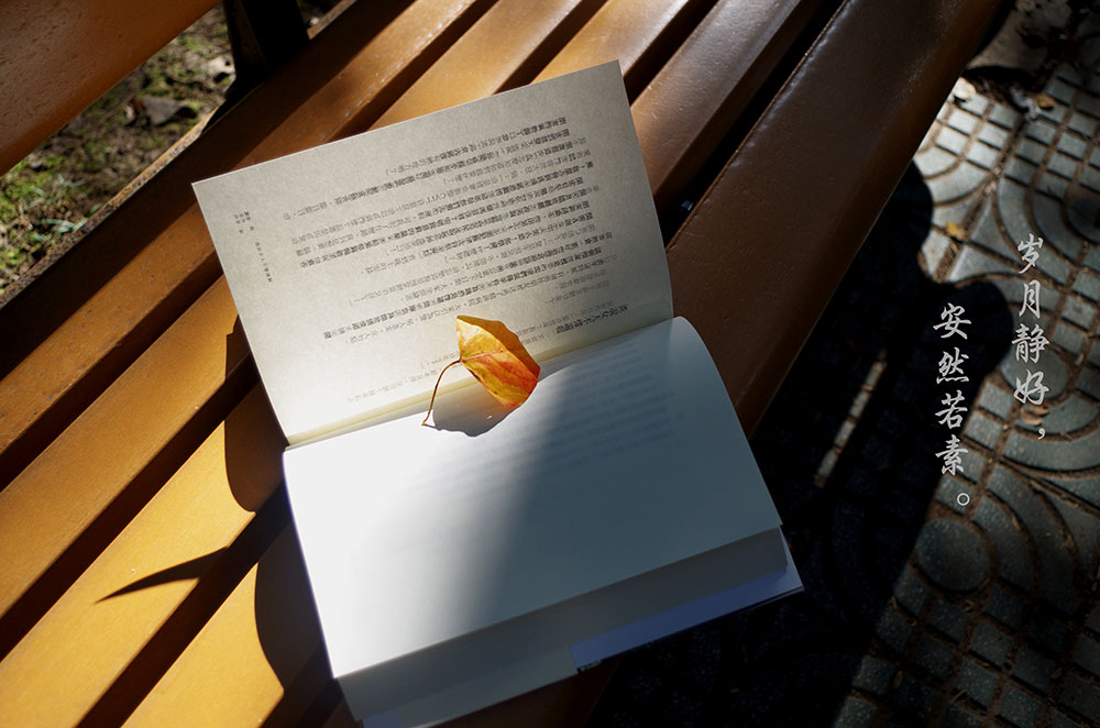 ���˳����Դ���Ҫ�����������ŶԳ�����ʲô�ã�